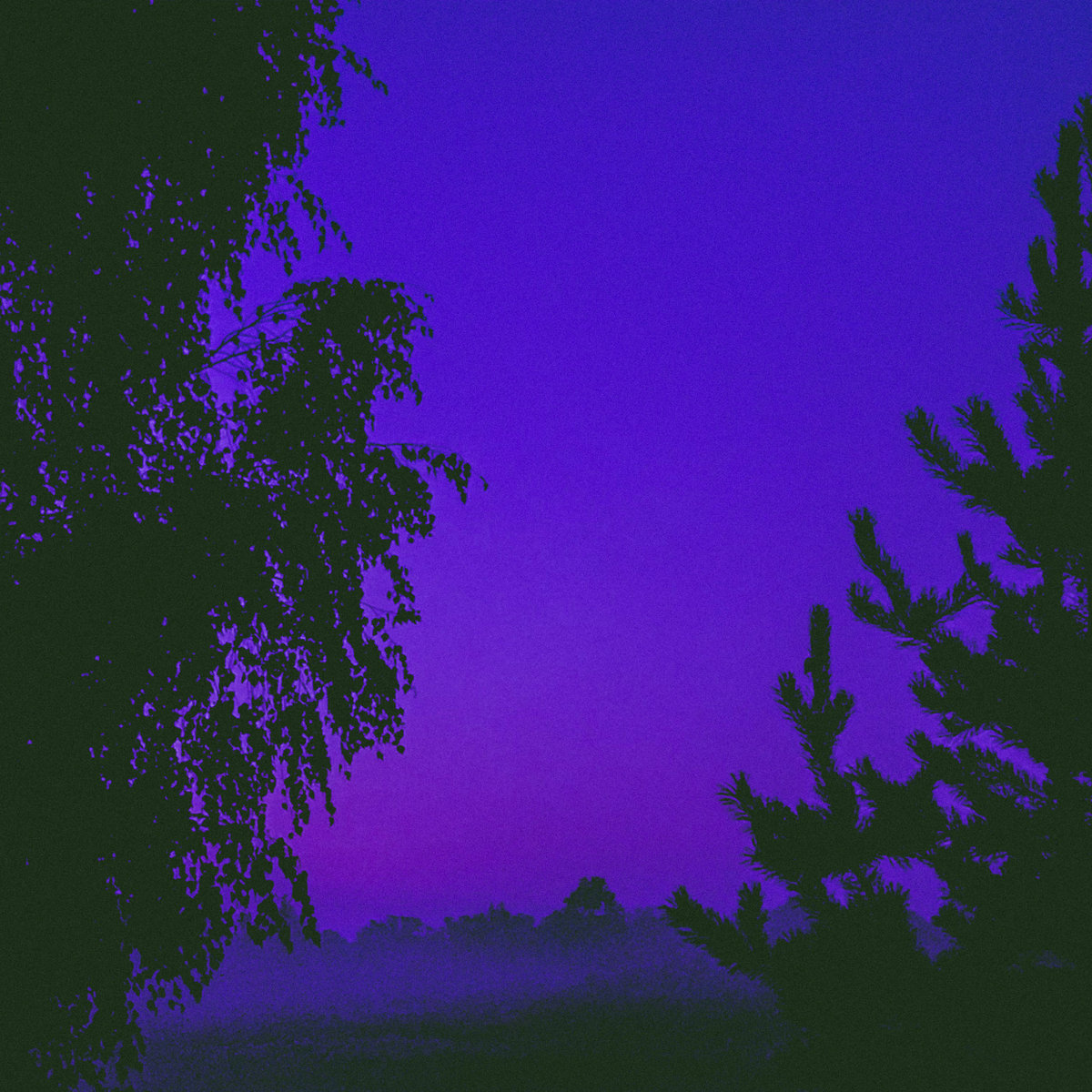 Enigmatic Evening